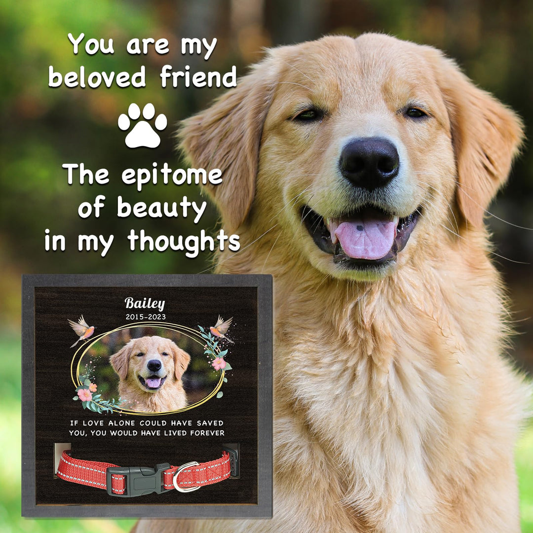 Memorial Gifts Picture Frame for Loss of Dog